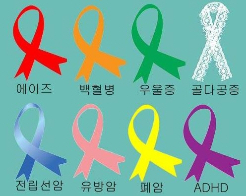 리본 이미지