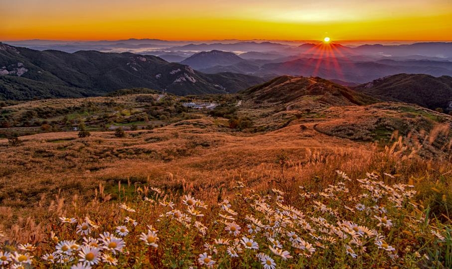 은빛축산 이미지