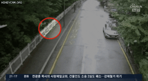 영상=TV조선 보도 화면 캡처