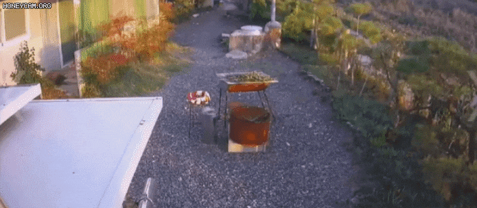 19일 오후 5시 13분경, A씨 창녕 집 뒷마당에 무단 침입한 중년 남성이 삽을 들고 A씨의 반려견을 쫓고 있다./A씨 제공