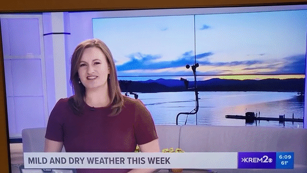 사진=데일리메일