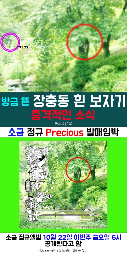 프리셔스레이블 이미지