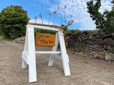 열권의책방 이미지