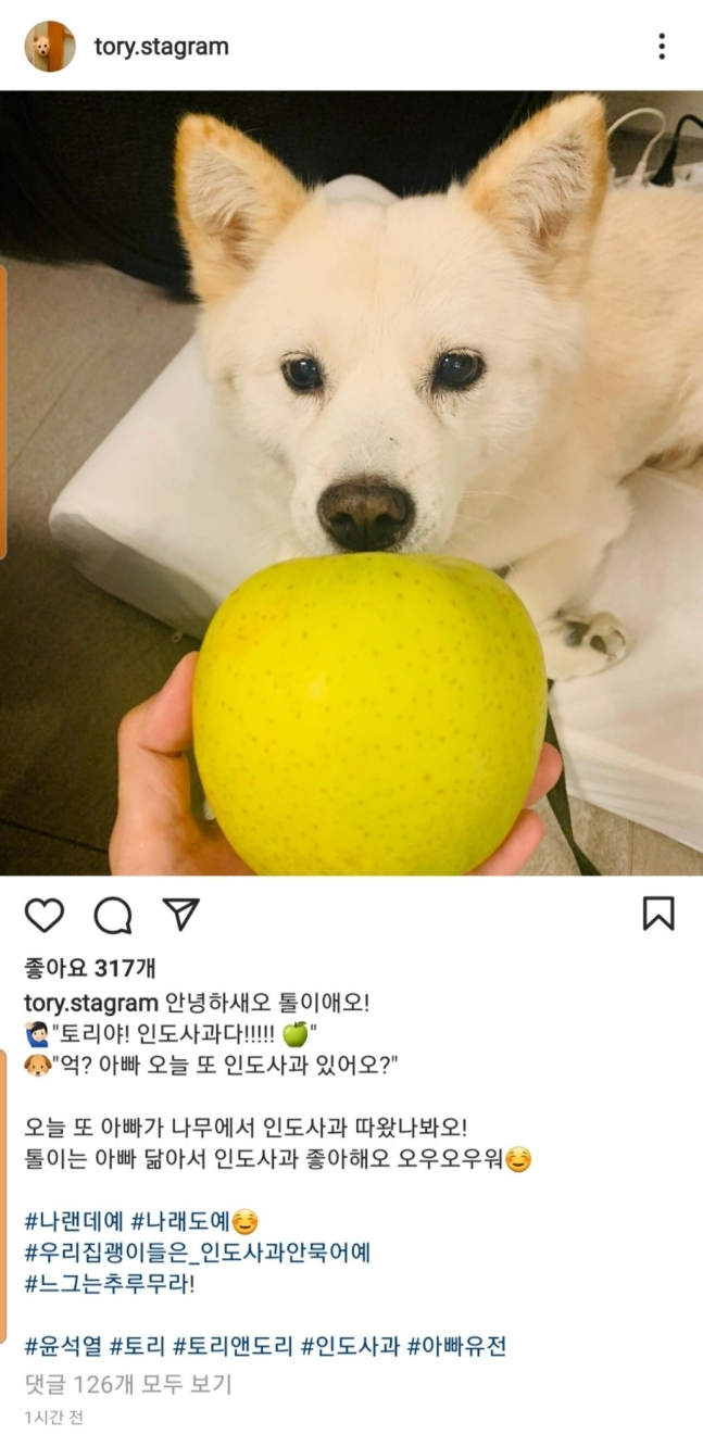 여명네트워크 이미지