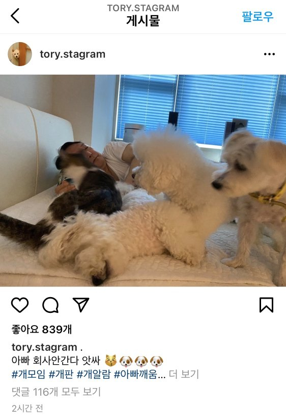 토리애드 이미지