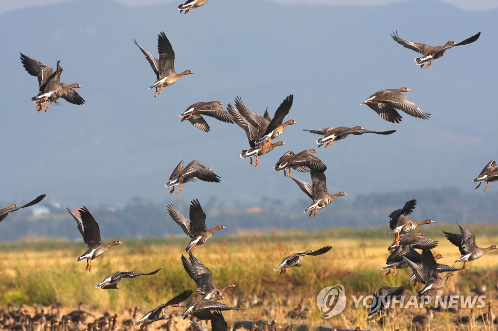 서산버드랜드사업소 이미지