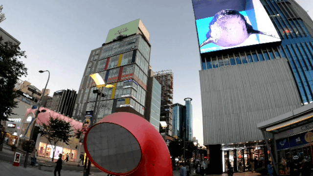 고프로 히어로 블랙10으로 촬영한 신촌 거리의 모습. /윤민혁 기자