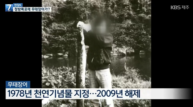 천지연무태장어천지연 이미지