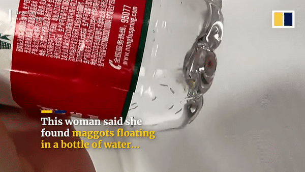 사우스차이나모닝포스트 보도 캡쳐