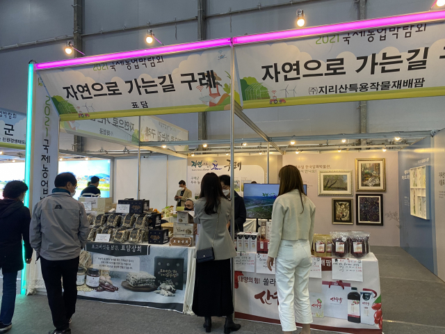 표담 이미지