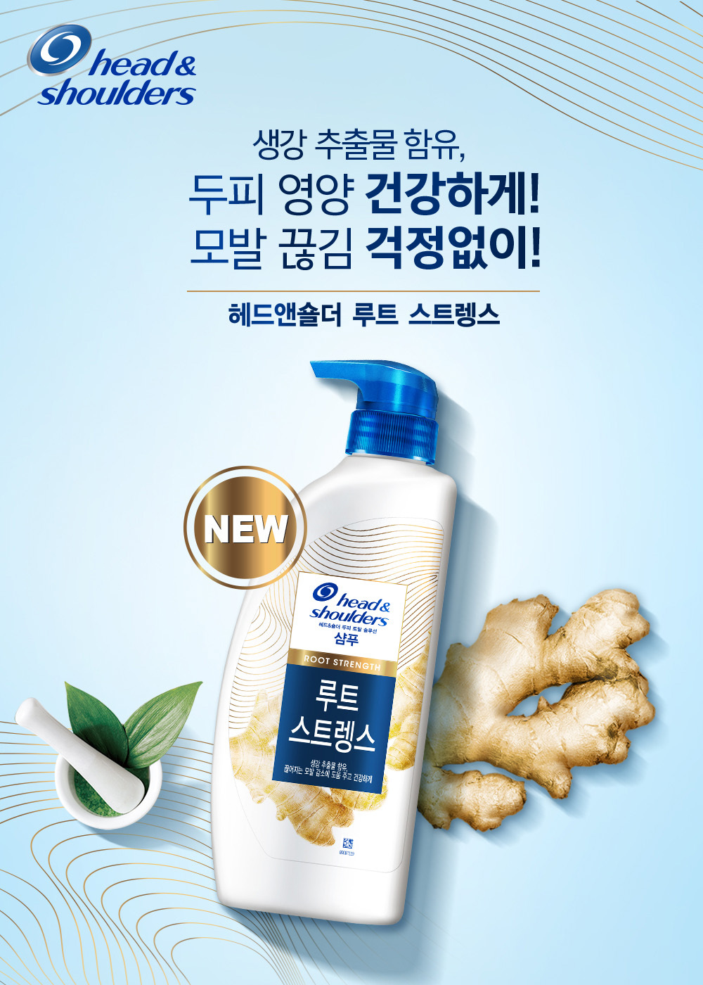 루트앤 이미지