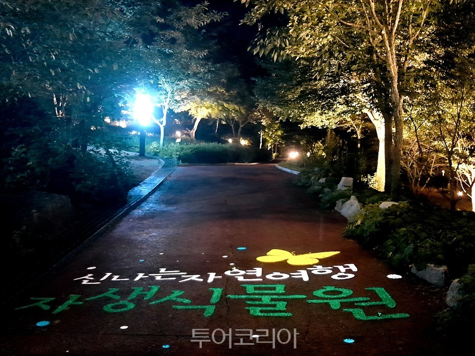 자생 이미지