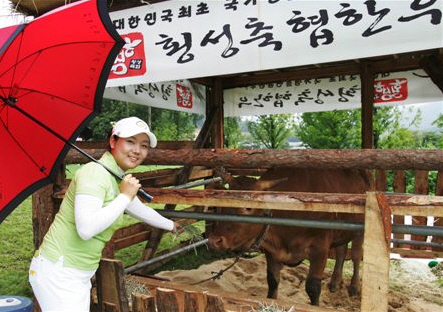청우명품한우 이미지