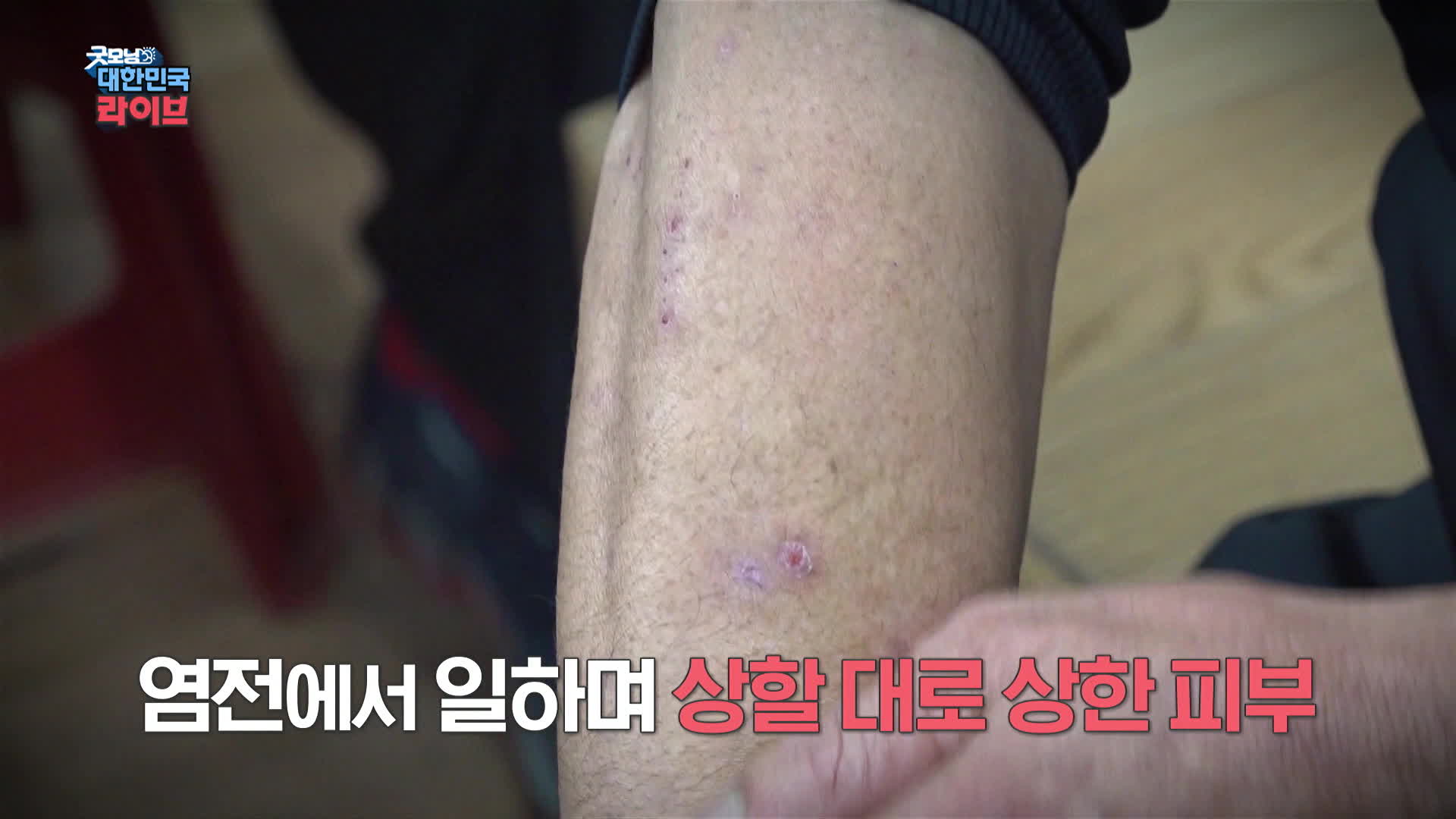 굿모닝 직업소개소 이미지
