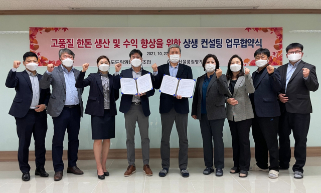 도드람엘피씨공사 이미지