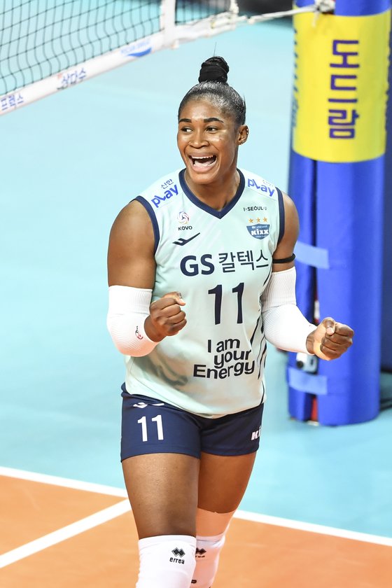 모마 이미지