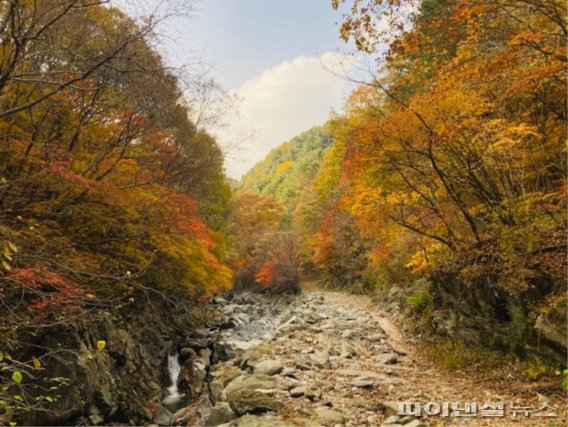 명품 이미지