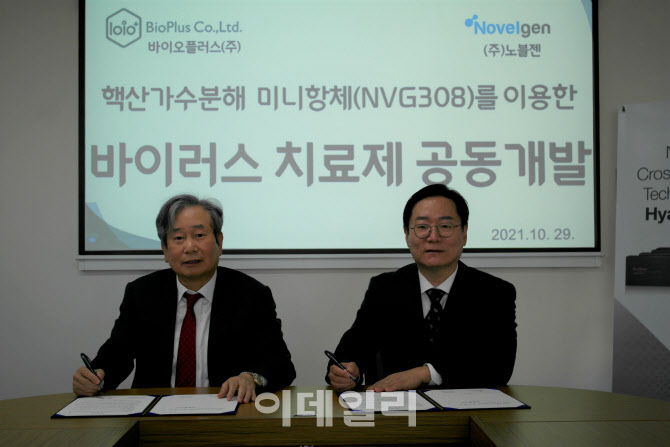 노블젠 이미지