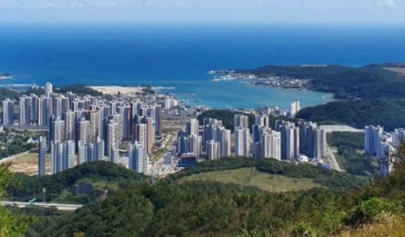 일광 이미지