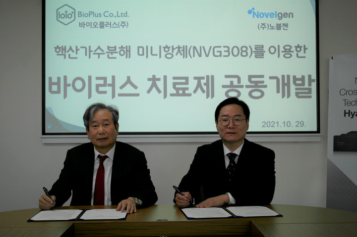 노블젠 이미지