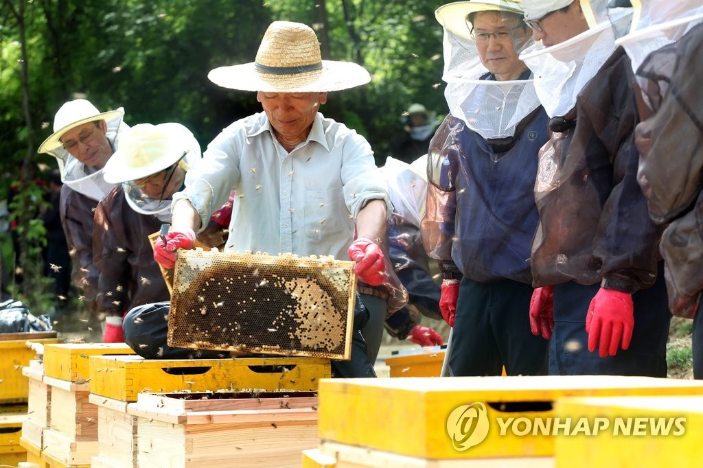 영아유통 이미지