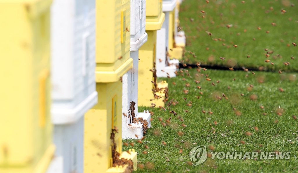 영아유통 이미지