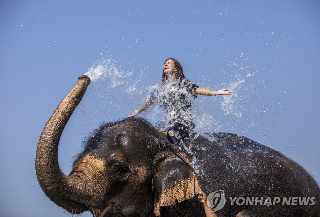 코끼리관광주 이미지