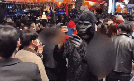 지난달 31일 용산구 이태원에서 고릴라 분장을 한 남성이 버니걸 분장을 한 여성을 불법 촬영하고, 이를 지켜본 또다른 남성은 엄지손가락을 치켜드는 모습이 포착됐다. 온라인 커뮤니티