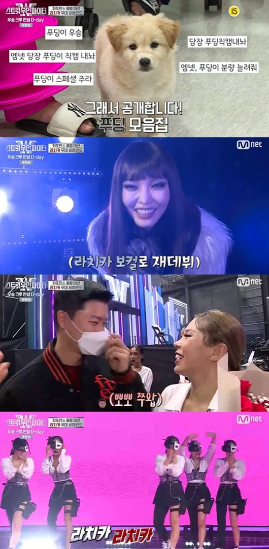 마마가비 이미지