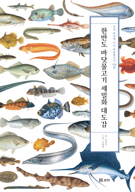 바닷 이미지
