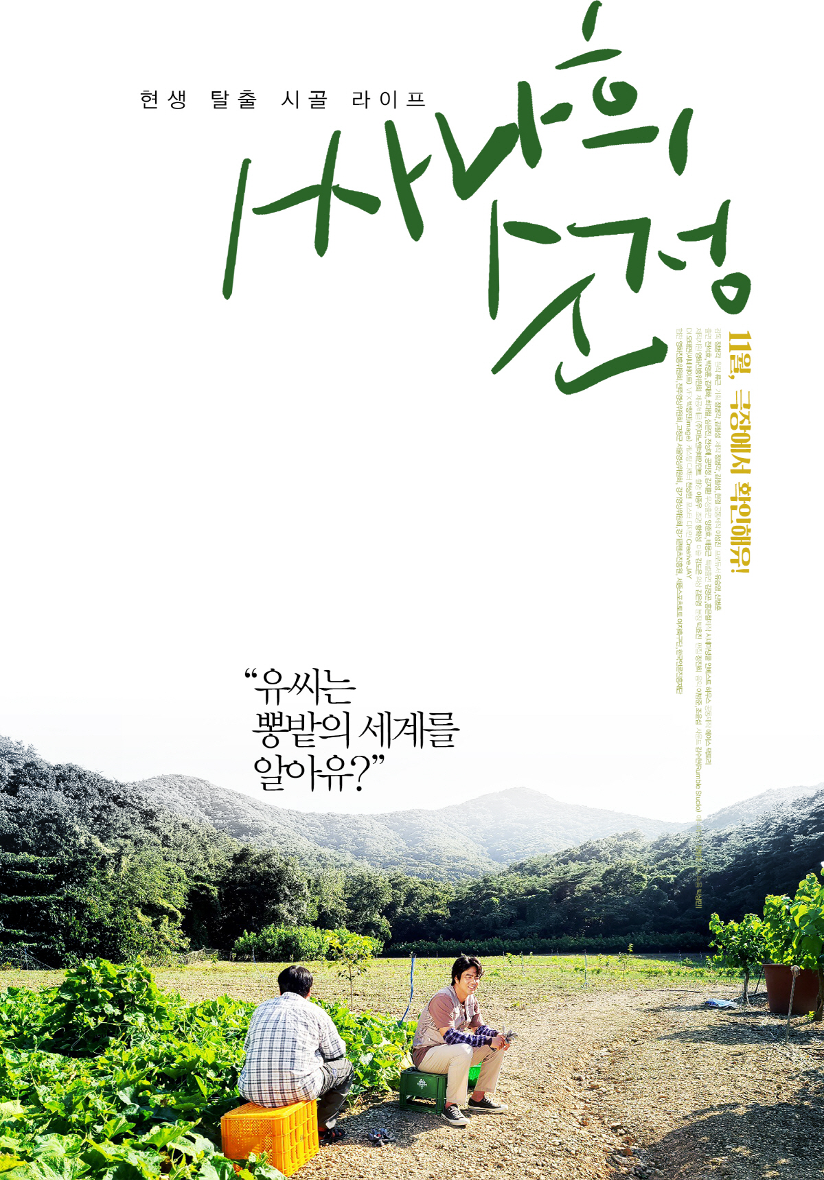 시네마 넝쿨 이미지