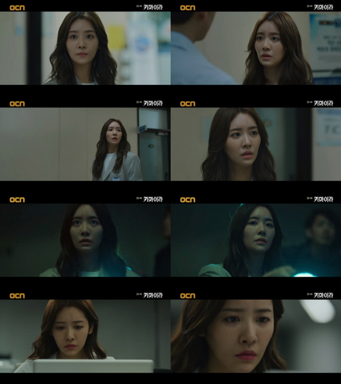 키마이라 이미지