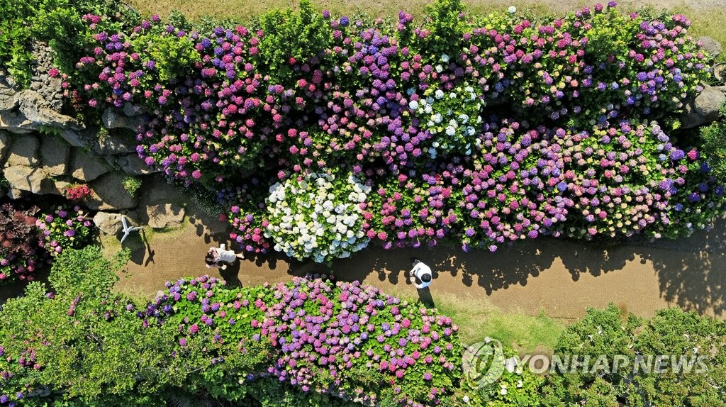 버드나무가든 사진 5