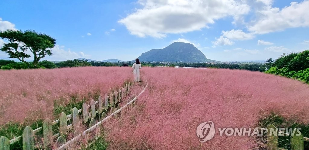 버드나무가든 사진 4