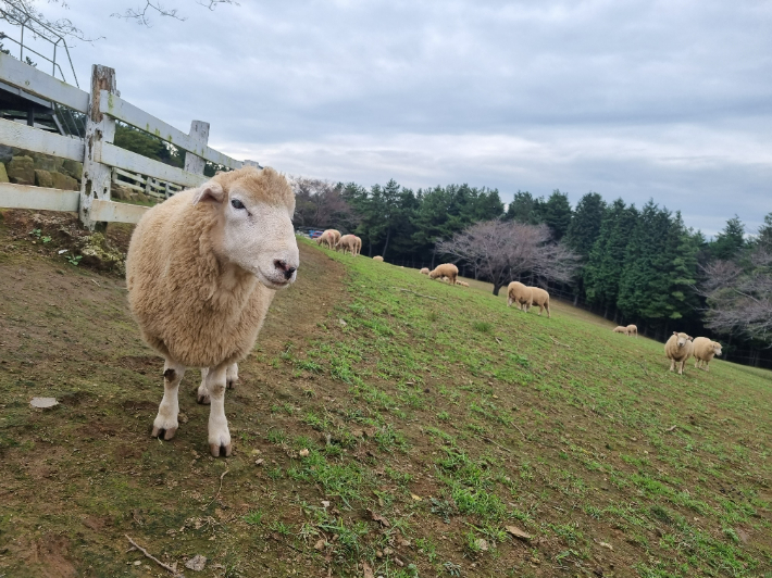 초지축산 이미지