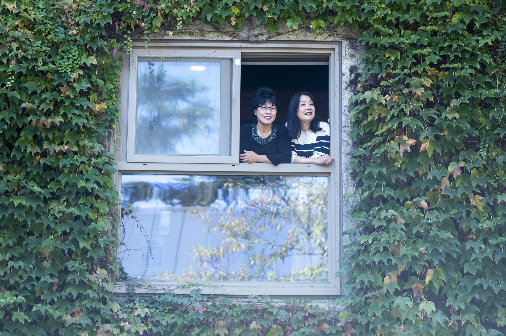성일실업 이미지