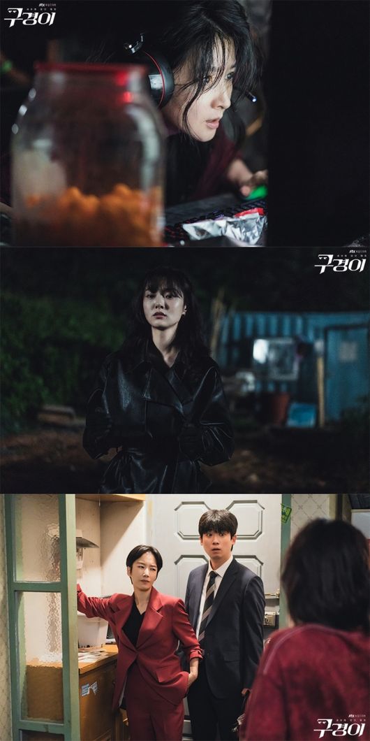 톱질하는고양이 이미지