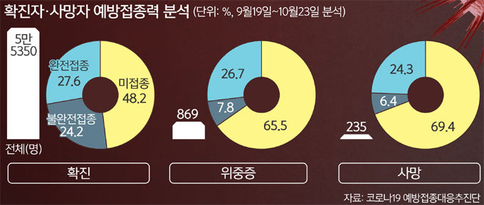 성인기획 이미지