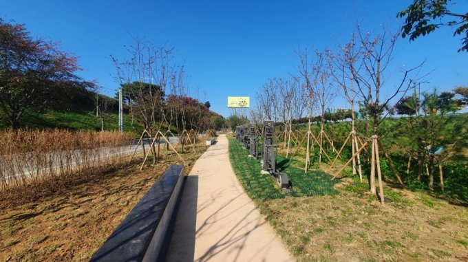 도심숲 이미지