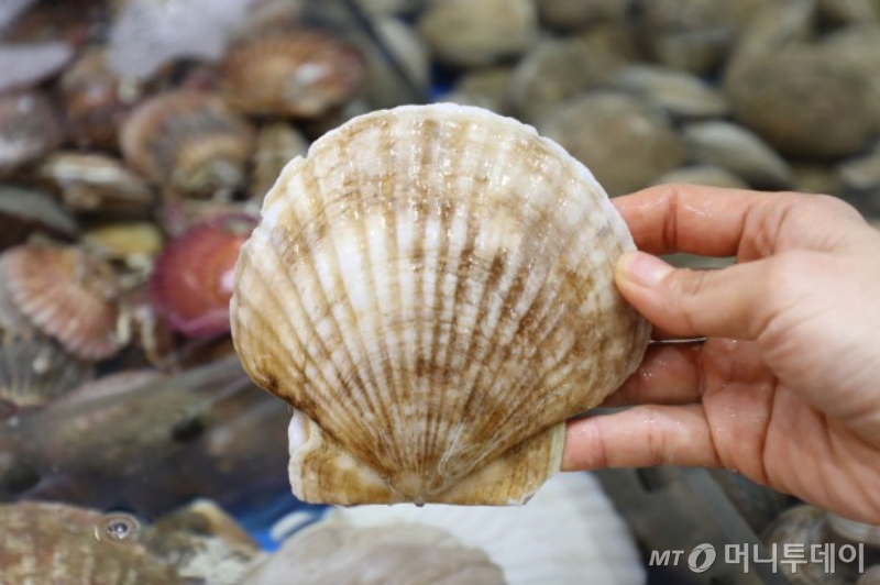 가리비야 이미지