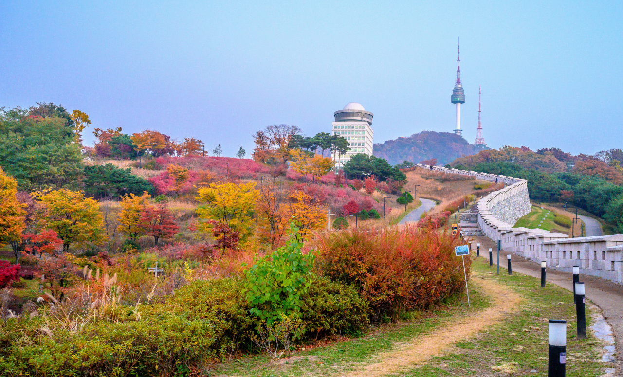 블루클린 이미지