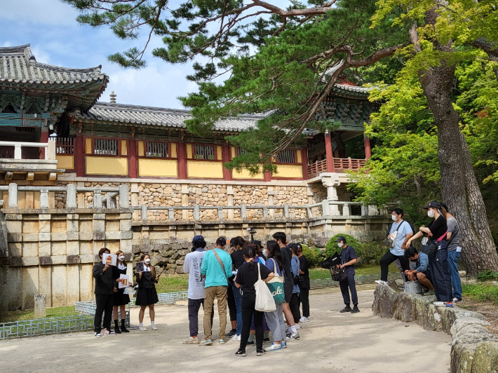 녹색농심인삼마을 이미지