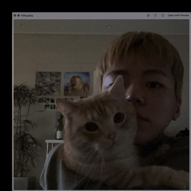 밀리 이미지