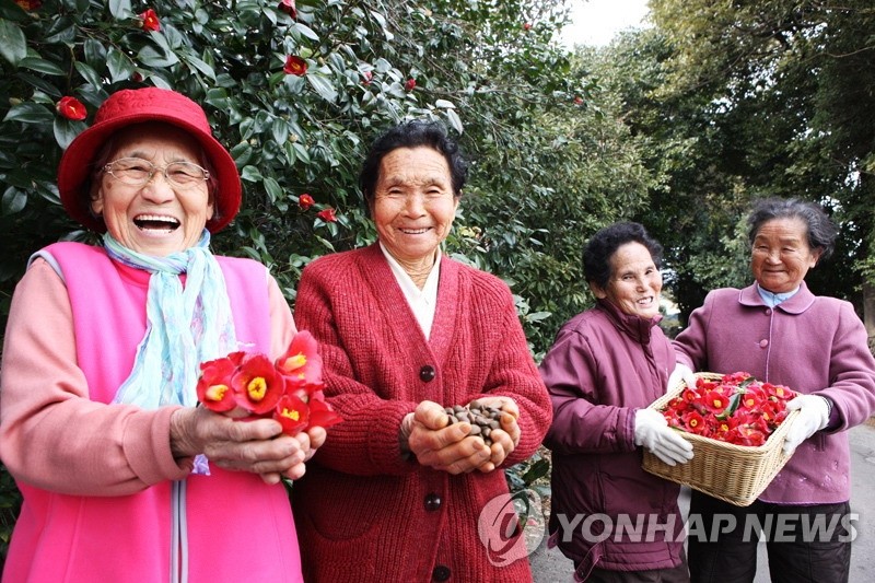 동백고장보전연구회 이미지