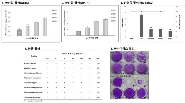 백두인력 이미지