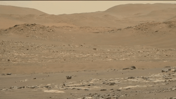 NASA 화성 탐사 로버가 촬영한 인제뉴어티의 모습 (영상=NASA)