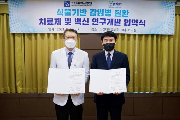 지플러스 이미지