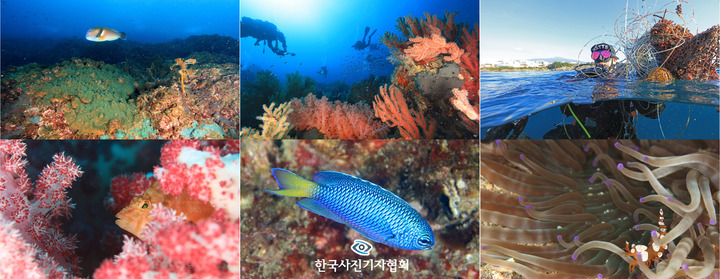 이달의바다 이미지