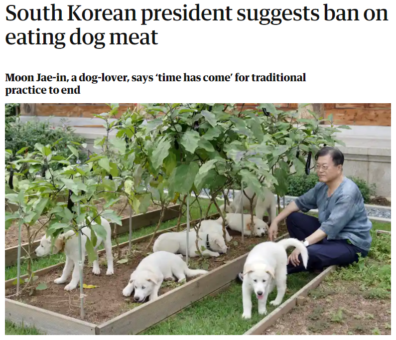 고기대통령 이미지