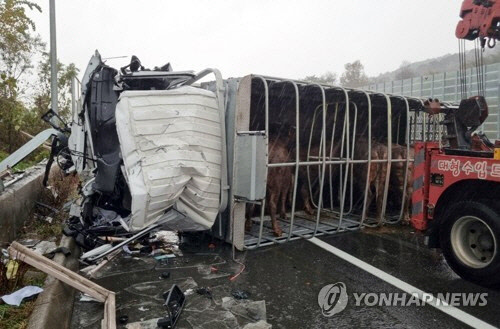 냉정JC(부산) 이미지